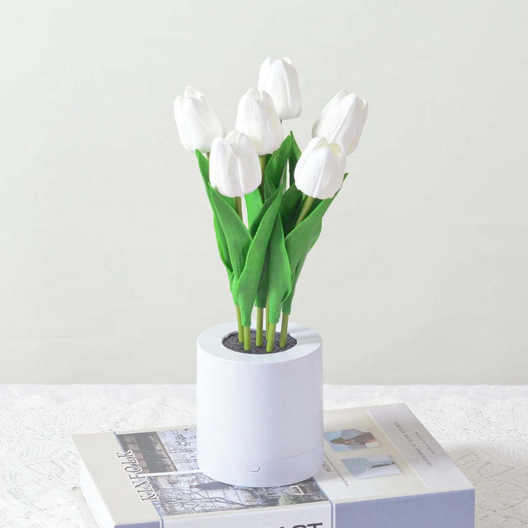 Tulip-white